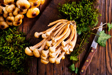 raw mushrooms on kitchen table, fresh mushrooms