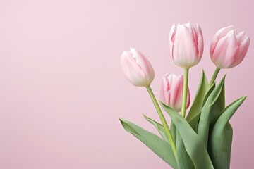 Pastel Pink Background With Bouquet Of Pink Tulip Flowers
