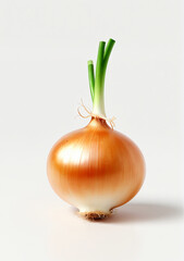 Onion Isolated On A White Background