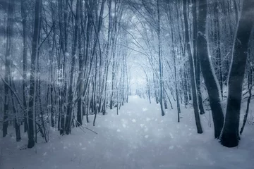Fotobehang surreal winter woods landscape, forest path during blizzard © andreiuc88