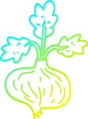 cold gradient line drawing of a cartoon old onion