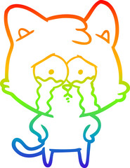 rainbow gradient line drawing of a cartoon crying cat