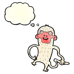 cartoon monkey with thought bubble