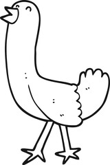 cartoon bird
