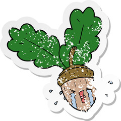 distressed sticker of a cartoon crying acorn