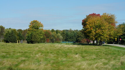 The beautiful autumn view with the colorful trees and leaves in the park