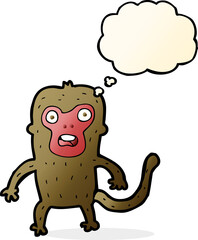cartoon monkey with thought bubble