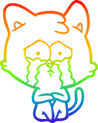 rainbow gradient line drawing of a crying cat cartoon