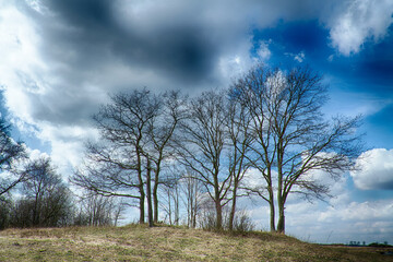 Landscape sunset in Narew river valley, Poland Europe, meadows with willow trees, early spring time	 - old vintage filters