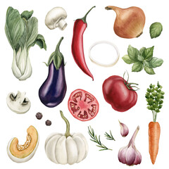 Watercolor set of vegetables: eggplant, Bok Choy, mushrooms, tomato, pepper, onion, Basil, pumpkin, carrot, rosemary