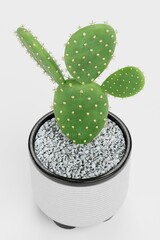 Realistic 3D Render of Opuntia Cactus