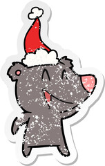laughing bear hand drawn distressed sticker cartoon of a wearing santa hat