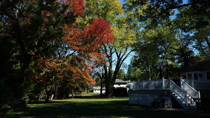 The beautiful autumn view with the colorful trees and leaves in the park