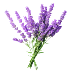 Deurstickers bunch of lavender on a transparent background © PJang