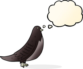 cartoon bird with thought bubble