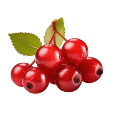 Hawthorn Berry isolated on transparent background