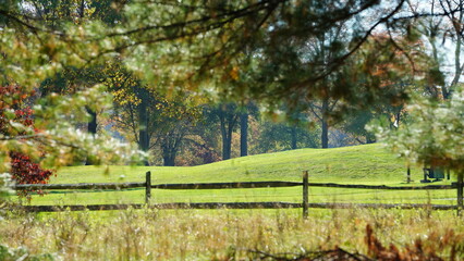 The wood fence view with the green meadow and colorful trees as background in autumn