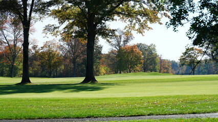 The beautiful autumn view with the colorful trees and leaves in the park