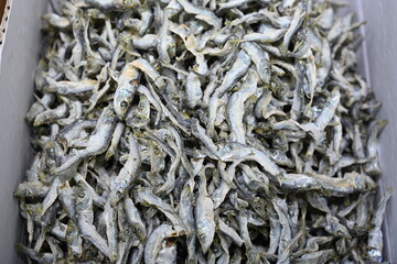 Korean seafood food. Dried anchovies