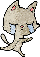 crying cartoon cat running
