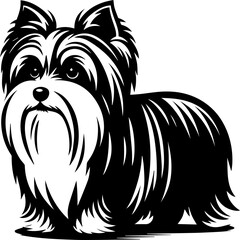 Biewer Terrier icon