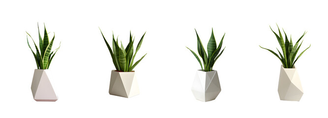 a white pot holding a snake plant, in the style of geometric decoration, luminous quality, dark yellow and dark emerald, intersecting planes, high quality, chrome-plated, cardboard