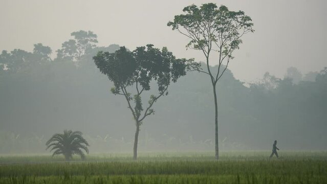 Foggy winter morning video of rural Bangladesh with ambient sound. Serene and picturesque footage for use in videos about nature, travel, and rural life. Biking, cycling, hiking, travel, vacation