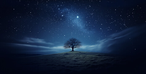 night picture dark blue sky trees hiding the stars