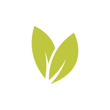 Leaf logo vector template element symbol design