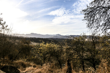 Landscape of the valley and the countryside of Ronda city