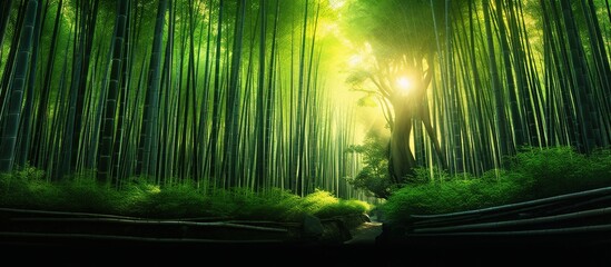 beautiful and refreshing view of the green bamboo forest