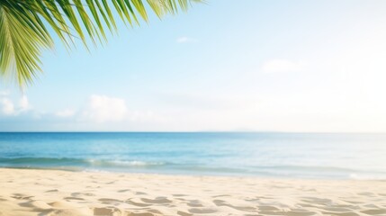 Fototapeta na wymiar Beautiful sandy beach with blur sky and tree summer. Banner with copy space