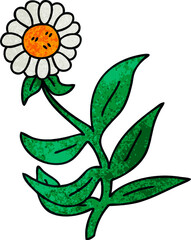 hand drawn quirky cartoon daisy flower