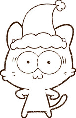 Nervous Cat Charcoal Drawing