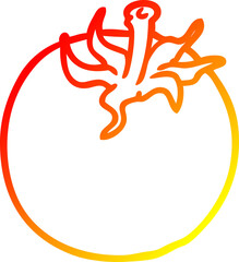 warm gradient line drawing of a fresh tomato