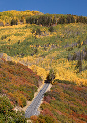 Colorado Fall Colors