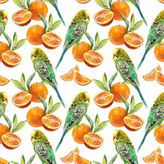 Seamless pattern of bright oranges and parrots. Watercolor illustration isolated on white background. Juice labels, packaging, covers, cards, textiles