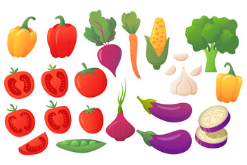 Cartoon food illustration. Collection farm product for restaurant menu.Bell pepper, broccoli, eggplant, cabbage, tomato, garlic, onion, peas, beetroot. Concept healthy food. A set of ripe vegetables.