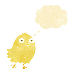 funny cartoon bird with thought bubble