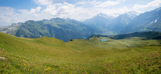 alpine landscape Grindelwald with green pasture and mountain view, Bernese Oberland