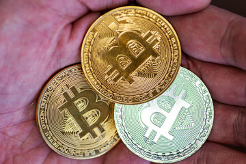 Bitcoin cryptocurrency - the coin of the future