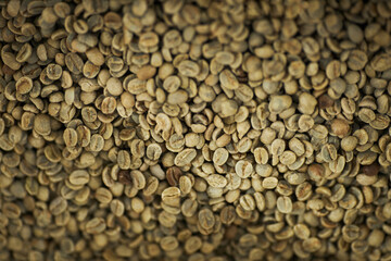 Top view background image of green coffee beans ready for roasting in coffee manufactory, copy space