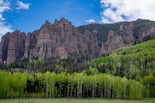 Springtime In Colorado