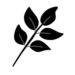 collection of leaves