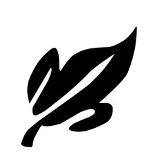 collection of leaves