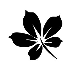 collection of leaves