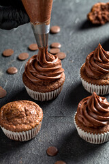 Chocolate cupcakes. The confectioner decorates the cupcake with cream using a pastry bag. Homemade baking concept. Soft focus