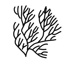 collection of leaves