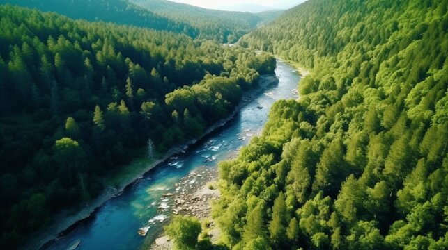 River and green forest in Tuchola natural park aerial.Generative AI