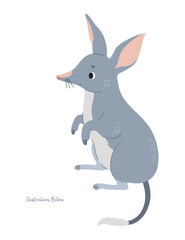 Australian animal bilby. Cute wild mammal. Vector illustration